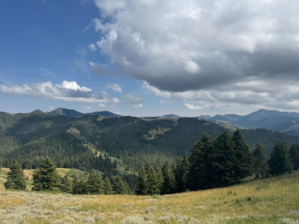The Highwood Mountains in August