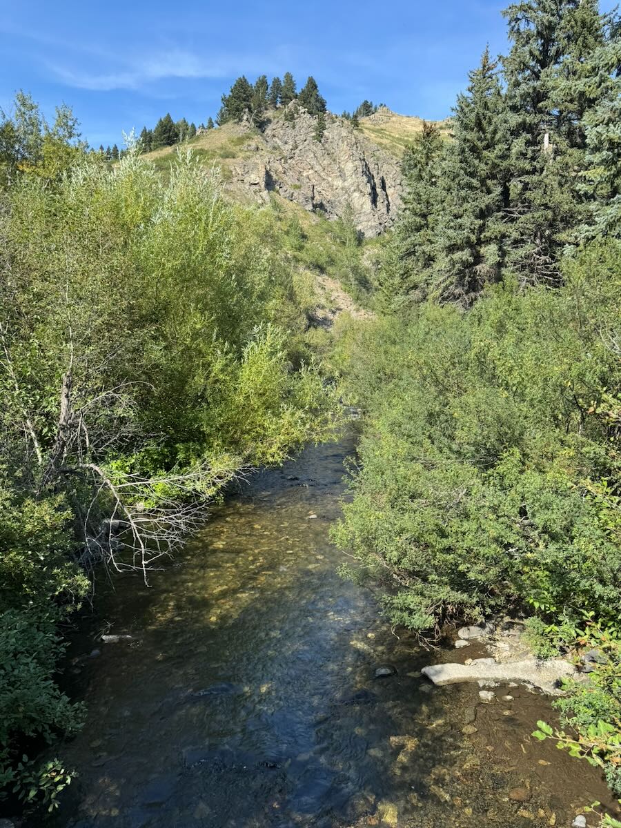 The creek seen from the bridge near the Hoover Cabin