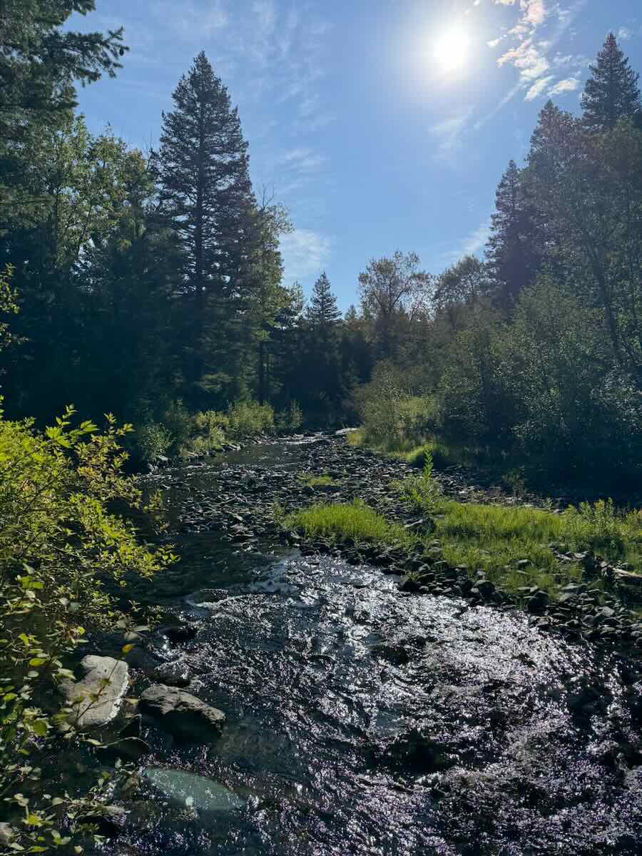A quiet trout creek running through the ranch