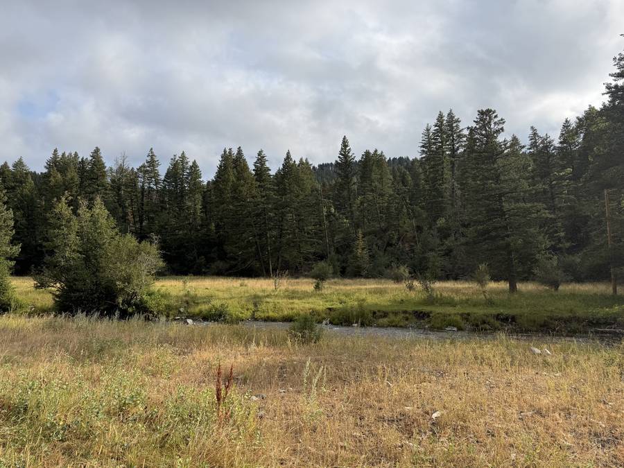 Open meadow and creek on the property