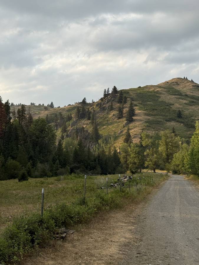 The remote road leading up into the ranch