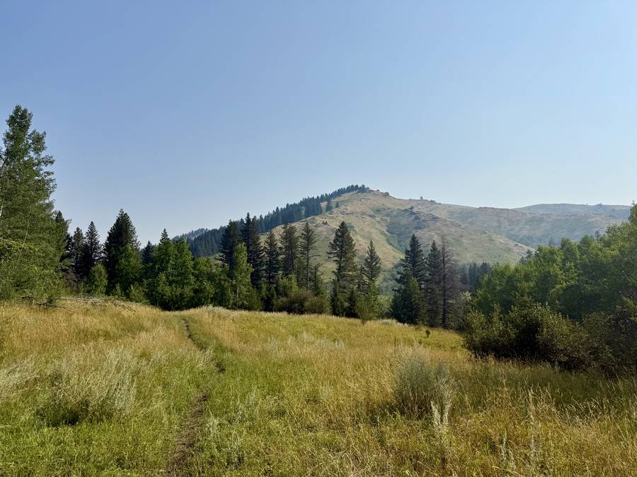 Horseback trail along the ridgeline with mountain views